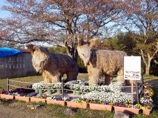 山口ゆめ花博 - あじすふるさとの丘公園